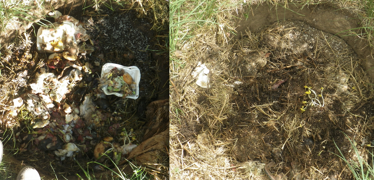 Screen Shot 2017-05-25 at 4.09.18 PM.png