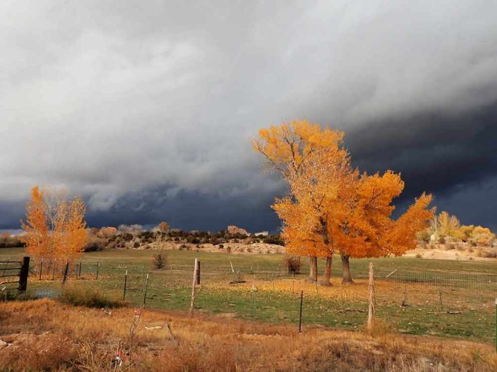 bright autumn color on trees and dramatic sky