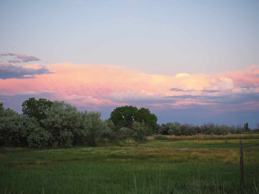 Pastel colored sky over pasture in Utah